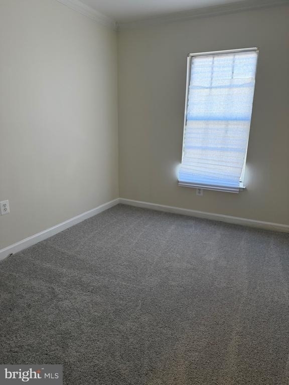 4118 Peppertree Lane - Photo 21