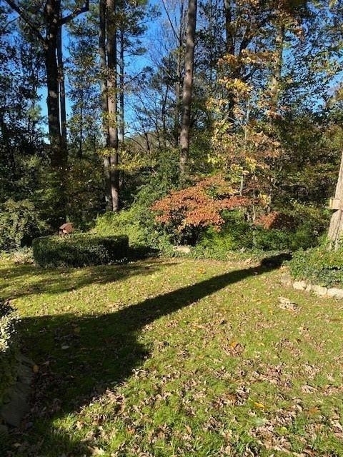 1152 Beech Haven Road Ne - Photo 5
