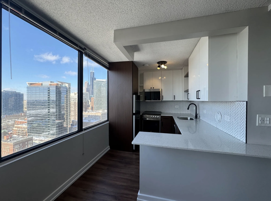 1212 S Michigan Avenue - Photo 4