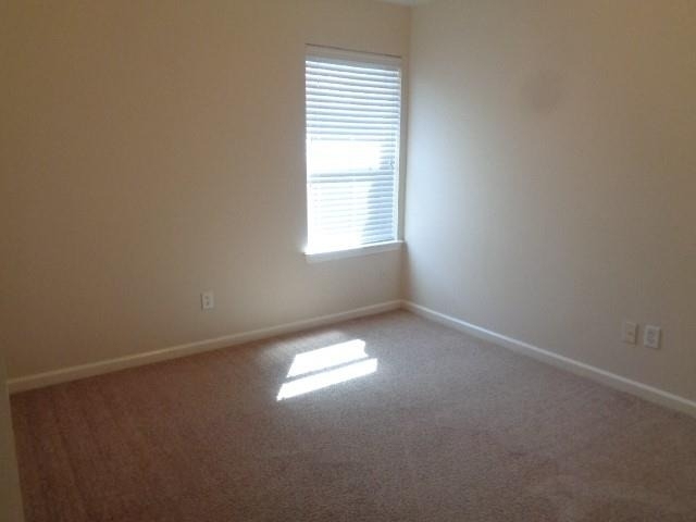 19021 Hammer Lane - Photo 9