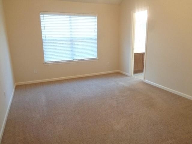 19021 Hammer Lane - Photo 14