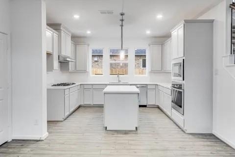 21903 Wycombe Terrace Way - Photo 2