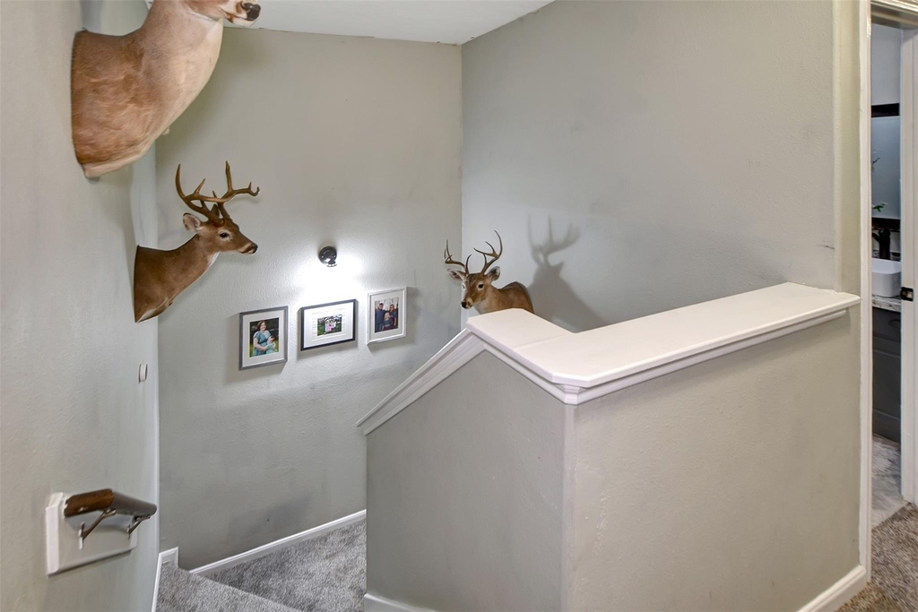 25401 Hunting Trail - Photo 27