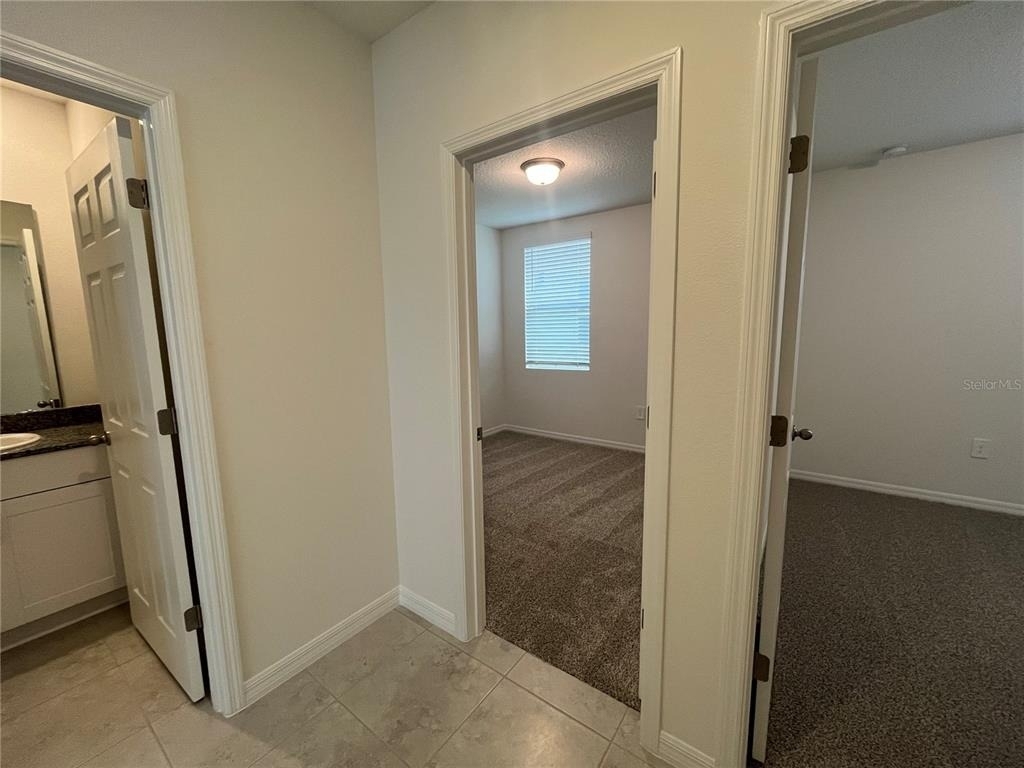 3889 Giorgio Drive - Photo 3