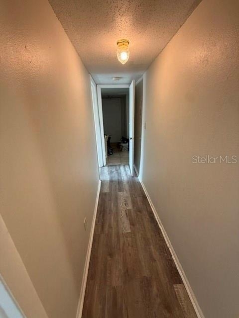 7309 Abonado Road - Photo 1