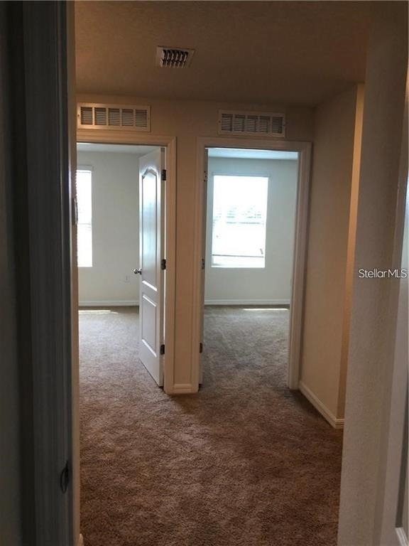 1851 Red Canyon Drive - Photo 8