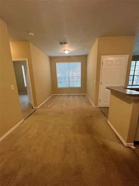 823 Grand Regency Point - Photo 11