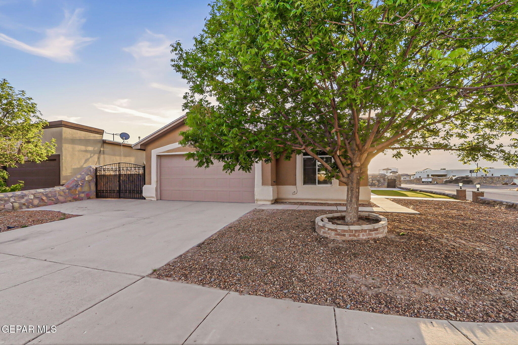 732 Desert Sage Drive - Photo 2