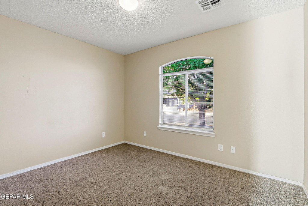 732 Desert Sage Drive - Photo 3