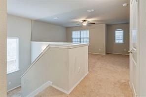 8208 Pine Meadows Drive - Photo 12