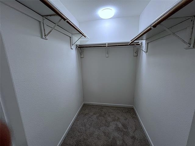 902 Mack Place - Photo 7