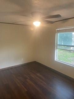 5955 Tenderfoot Trail - Photo 4