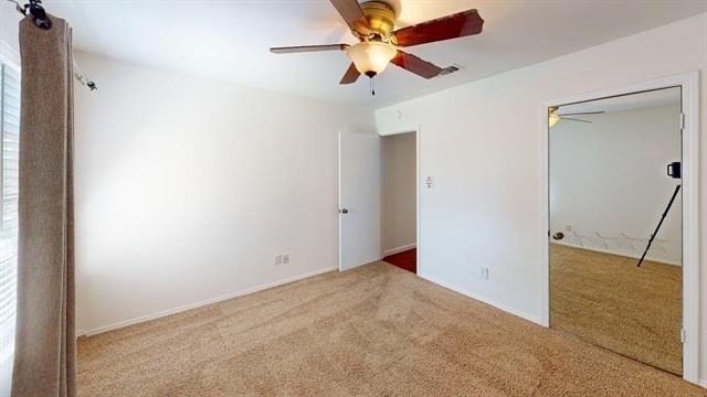 2961 Cripple Creek Trail - Photo 12