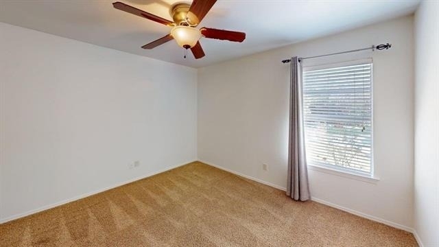 2961 Cripple Creek Trail - Photo 13