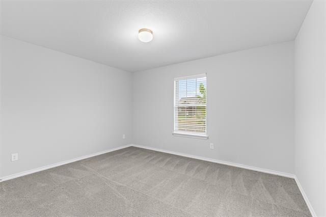 4807 Avion Drive - Photo 3