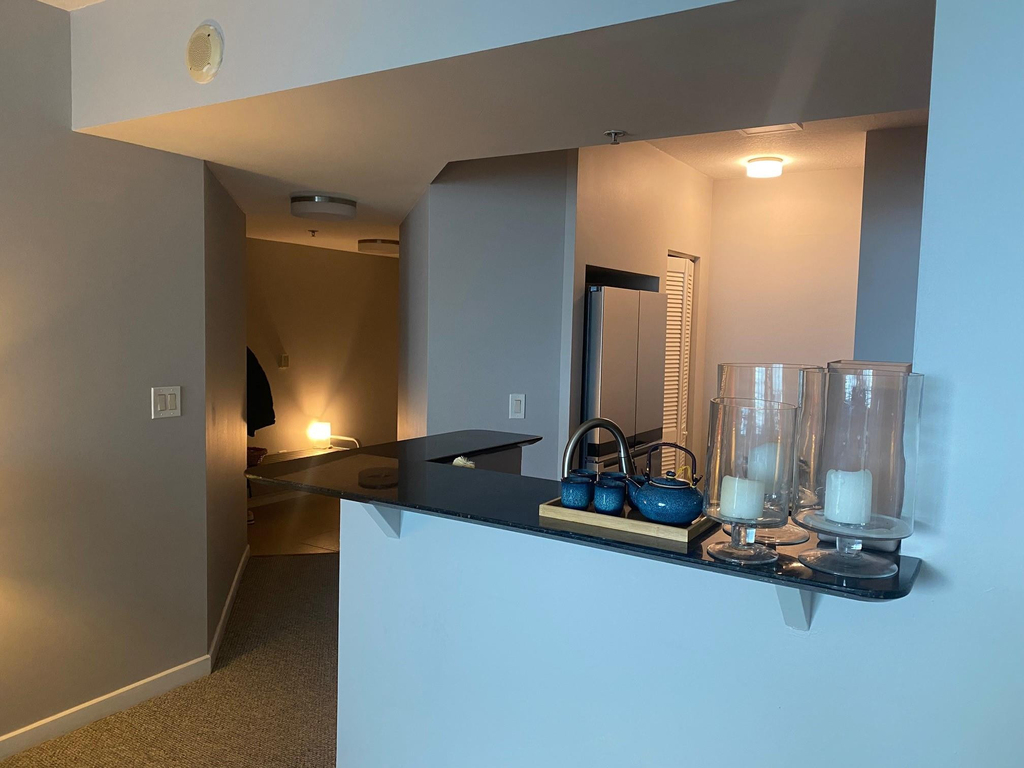 325 S Biscayne Boulevard - Photo 10