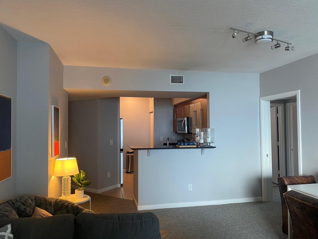 325 S Biscayne Boulevard - Photo 8