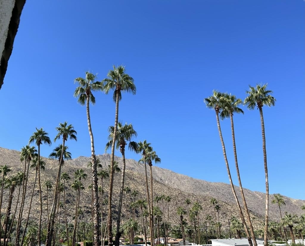 1900 S Palm Canyon . Drive - Photo 19