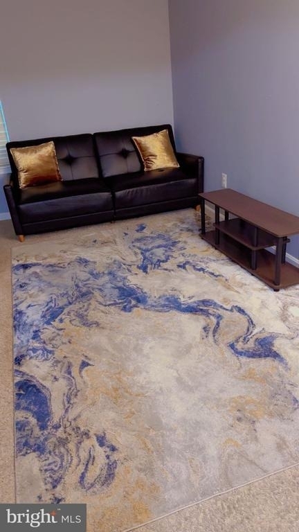 3300 Yellow Flower Road - Photo 3
