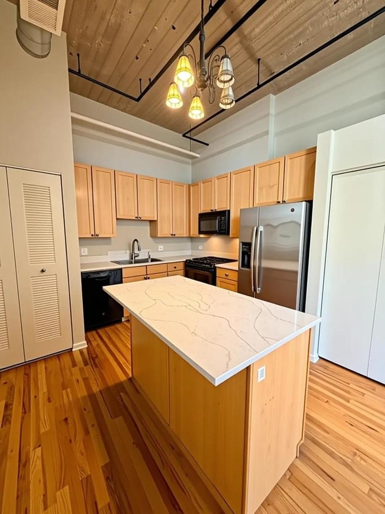 758 N Larrabee Street - Photo 1