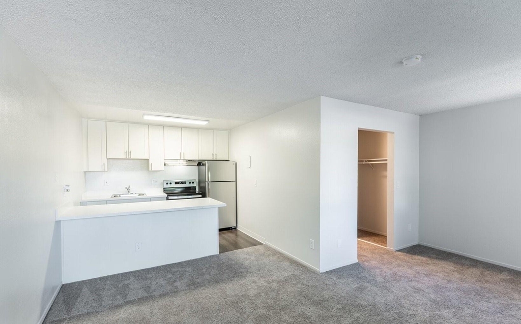 2550 S King Road - Photo 6