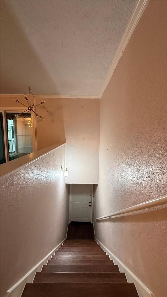 2744 Briarhurst Drive - Photo 5