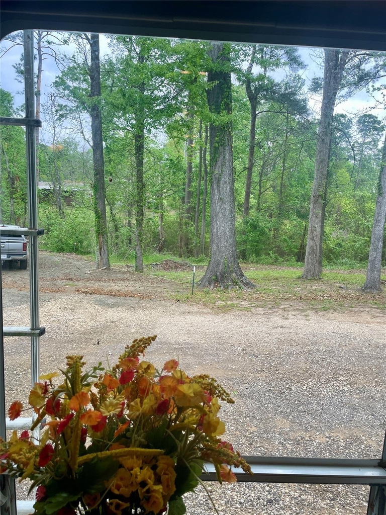5972 State Highway 147 - Photo 9