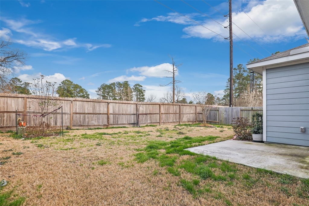 24830 Russet Bluff Trail - Photo 22