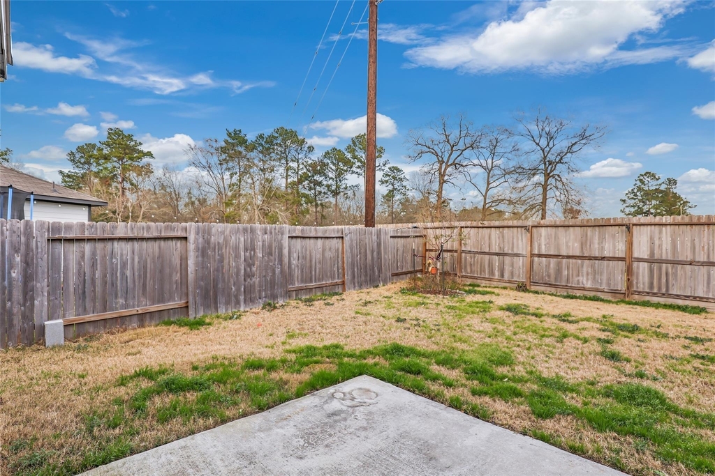 24830 Russet Bluff Trail - Photo 21