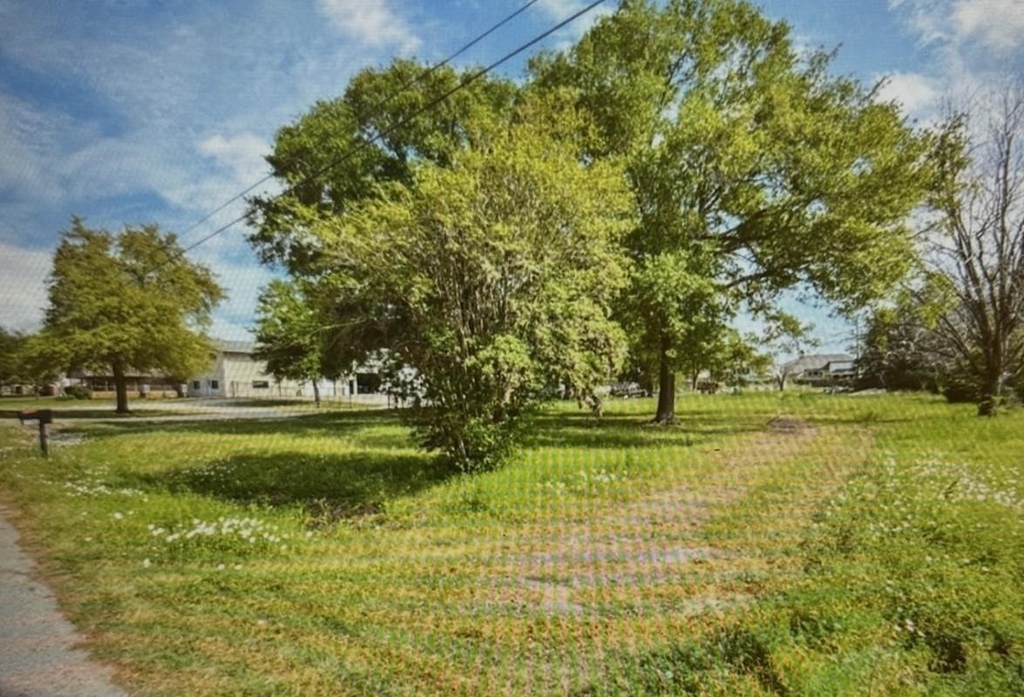 17703 South Drive - Photo 2