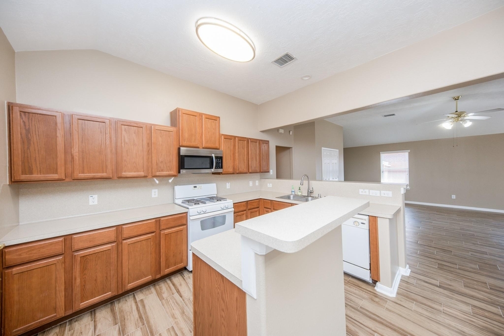 19247 Dillsbury Court - Photo 12
