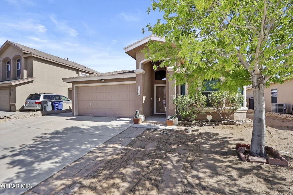 14438 Miguel Terrazas Drive - Photo 3