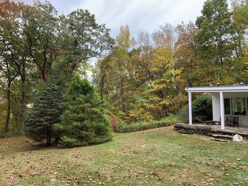 525 Munger Lane - Photo 3