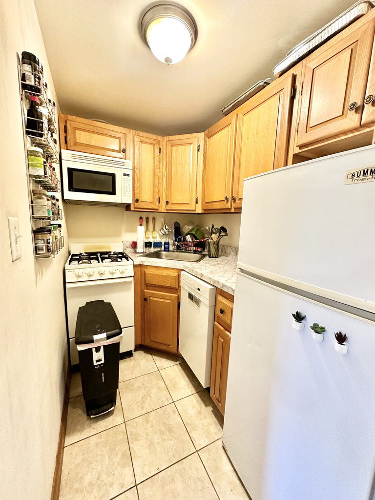 West 87th Street - Photo 6