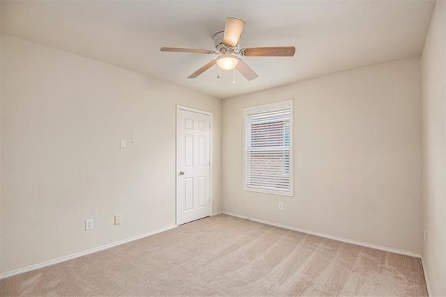 304 Chert Lane - Photo 17