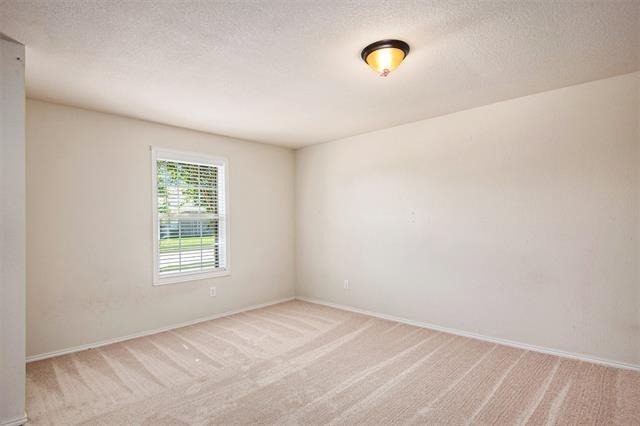 304 Chert Lane - Photo 16