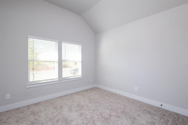 5928 Mustang Creek Lane - Photo 8