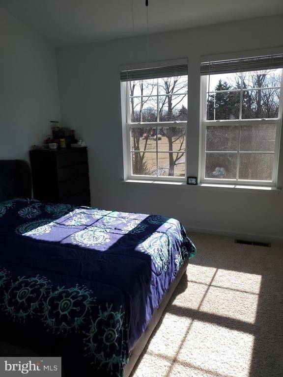 26 Colchester Court - Photo 12
