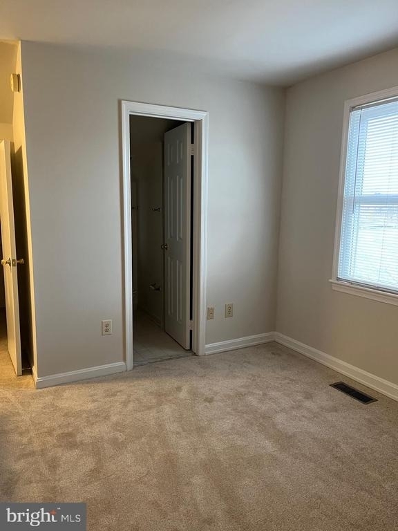 1533 Oronoco Street - Photo 19