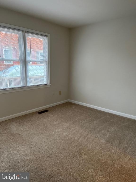 1533 Oronoco Street - Photo 15