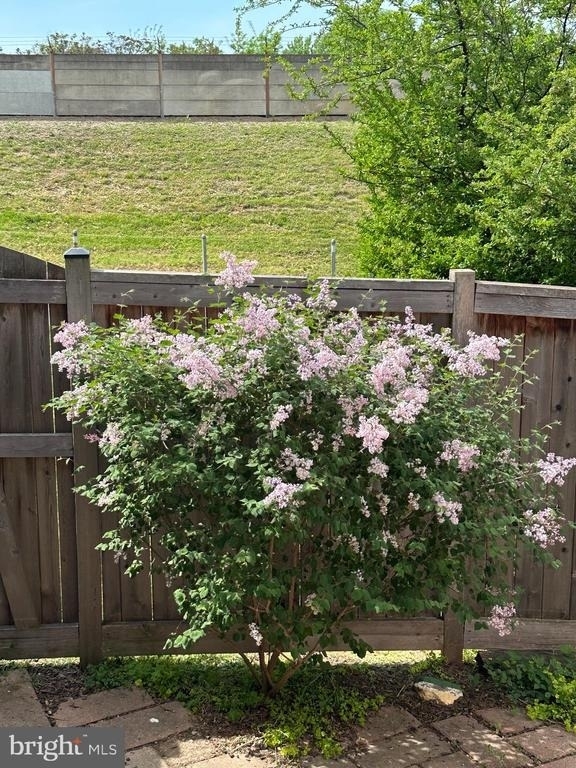 1533 Oronoco Street - Photo 27