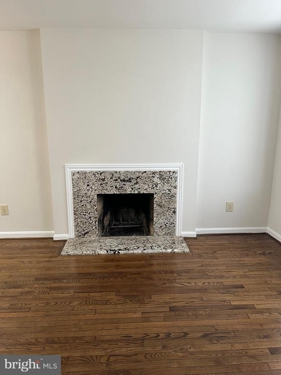 1533 Oronoco Street - Photo 2