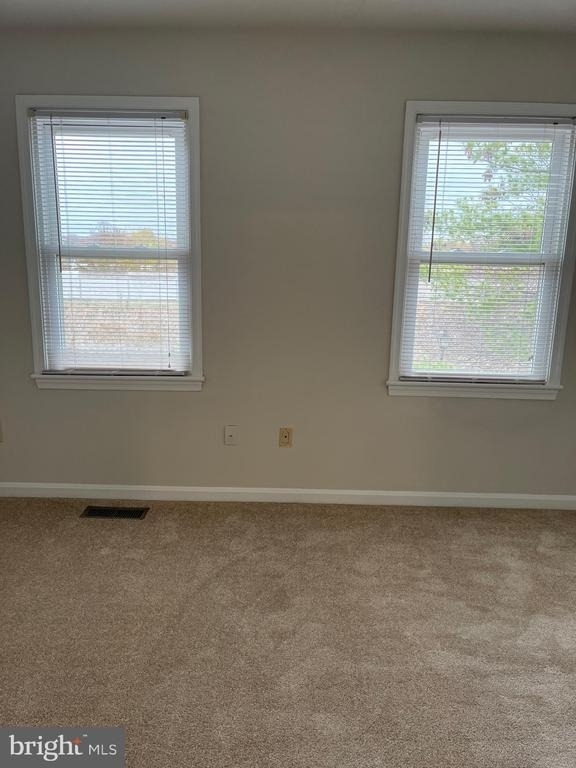 1533 Oronoco Street - Photo 8