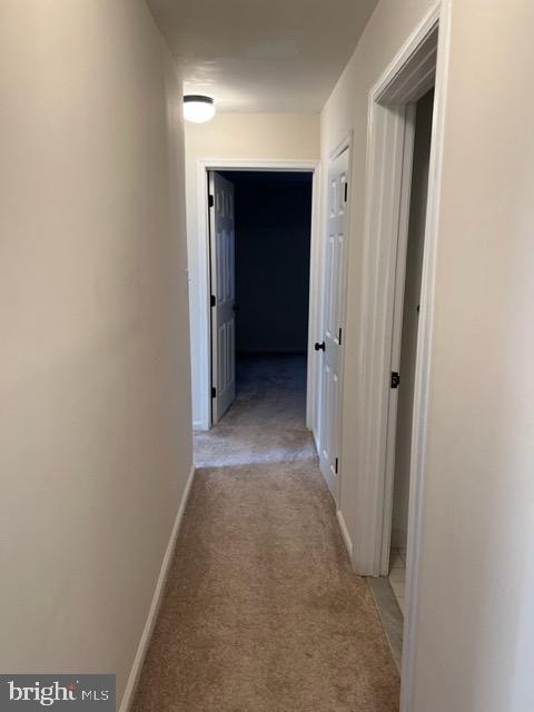 17207 Manning Drive - Photo 7