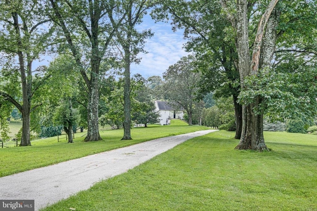 121 Gun Club Road - Photo 19