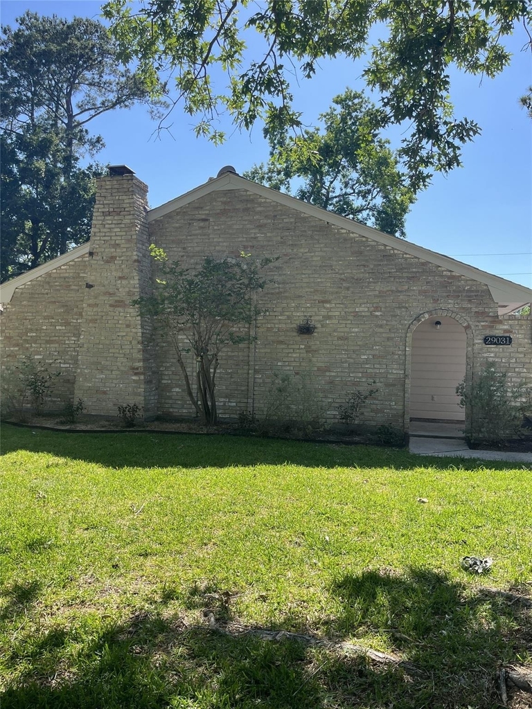 29031 Elmwood Drive - Photo 11