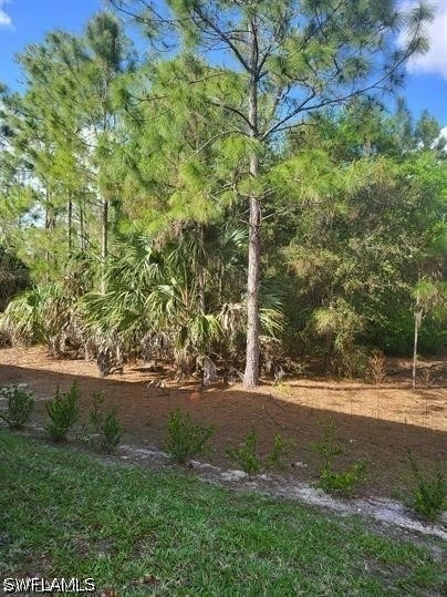 1256 Carpazi Court - Photo 3