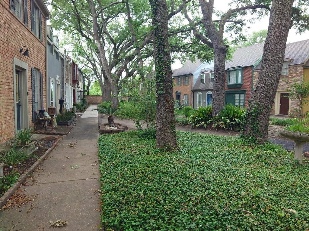 5215 Arboles Drive - Photo 1
