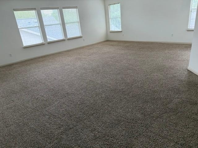 3615 John Hancock Lane - Photo 12