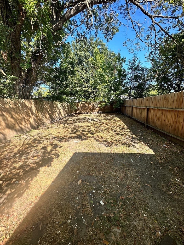 978 Ringold Street - Photo 11